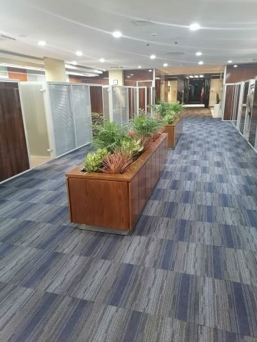 طراحى فضاى سبز در تهران