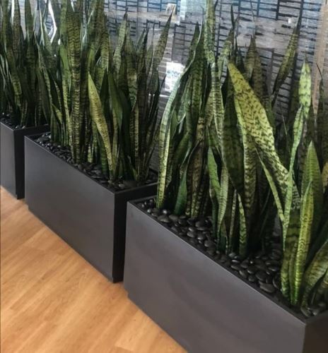 طراحى فضاى سبز در تهران