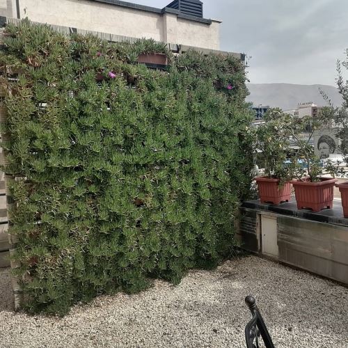 طراحى فضاى سبز در تهران