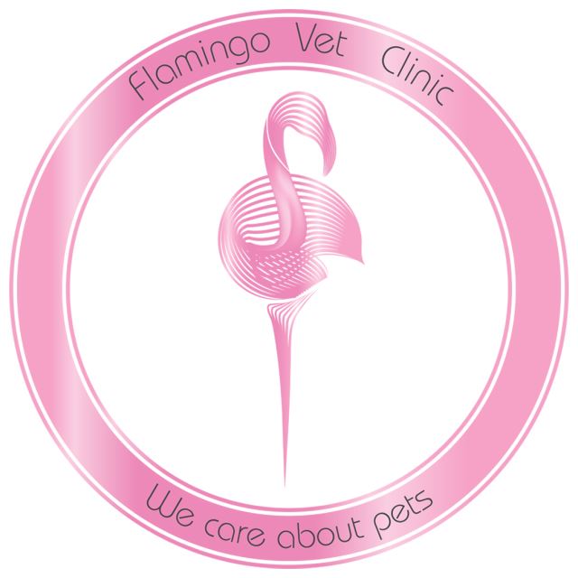 کلینیک دامپزشکی فلامینگو
