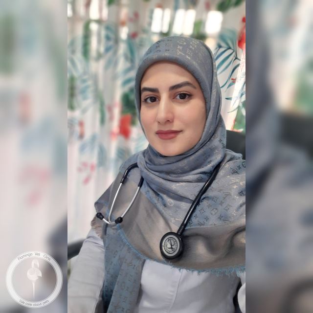 کلینیک دامپزشکی فلامینگو