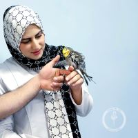 کلینیک دامپزشکی فلامینگو