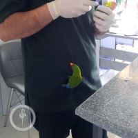 کلینیک دامپزشکی فلامینگو