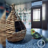 کلینیک دامپزشکی فلامینگو