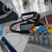 کلینیک دامپزشکی فلامینگو