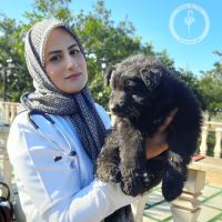 کلینیک دامپزشکی فلامینگو