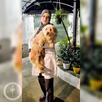 کلینیک دامپزشکی فلامینگو