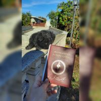 کلینیک دامپزشکی فلامینگو