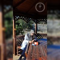 کلینیک دامپزشکی فلامینگو