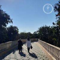 کلینیک دامپزشکی فلامینگو