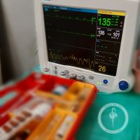 کلینیک دامپزشکی فلامینگو