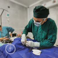 کلینیک دامپزشکی فلامینگو