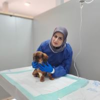 کلینیک دامپزشکی فلامینگو