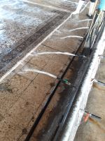 قالیشویی گلبرگ شیدا