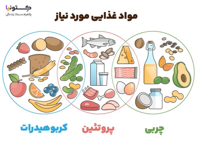 پروتئینی در اصفهان