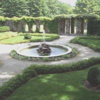 پیوند درخت گردو در اصفهان