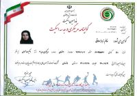 خرید اقساطی اسکیت در اصفهان