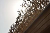 کلینیک ساختمانی EMMA