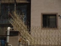 کلینیک ساختمانی EMMA