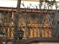 کلینیک ساختمانی EMMA