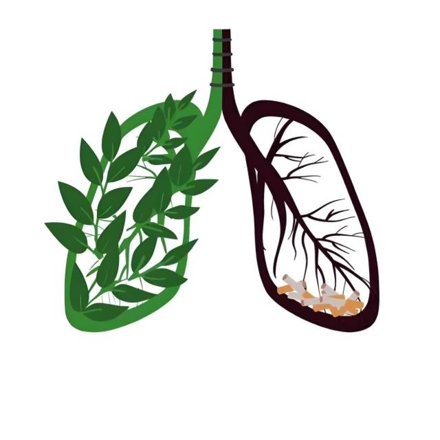 مرکز ترک اعتیاد در خانه منطقه یک