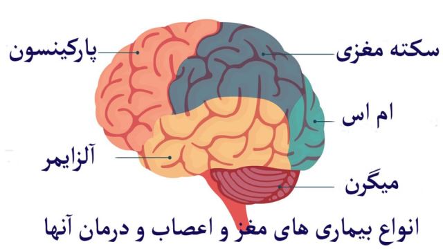 مژده ابراهیمی