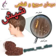 درمان سریع شپش