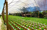 خدمات باغبانی در مشهد