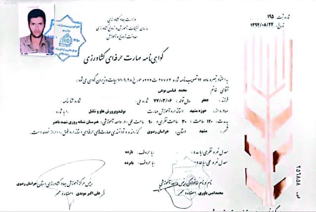 خدمات باغبانی در مشهد