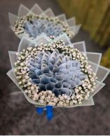 بادکنک آرایی در نظراباد