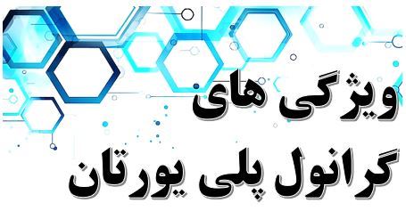 ویژگی های پل یورتان