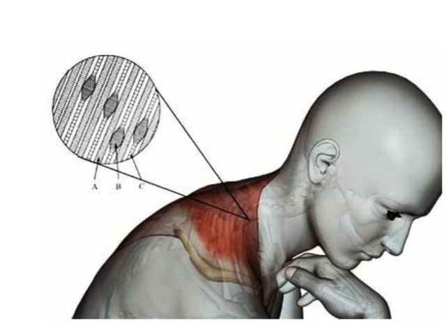بهترین مرکز ماساژ در فردیس 