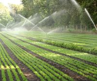 اجرای سیستم آبیاری در تهران