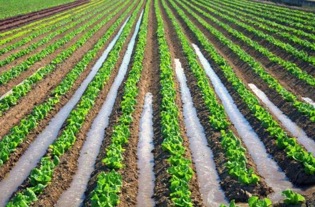 اجرای سیستم آبیاری در تهران