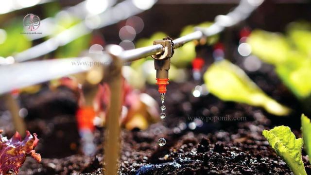 اجرای سیستم آبیاری در تهران