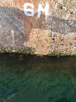 راپل کار حرفه ای لرستان