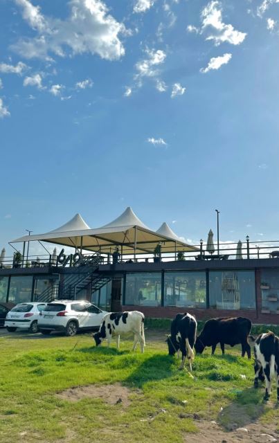 بهترین رستوران رودسر 