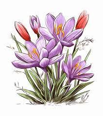 فروش زعفران درجه یک فله ای در تهران 