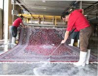 قالیشویی سینا