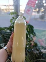 سبزیجات تربچه+