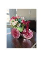 موسسه جامعه معلولین شهرستان بافق