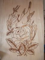 موسسه جامعه معلولین شهرستان بافق