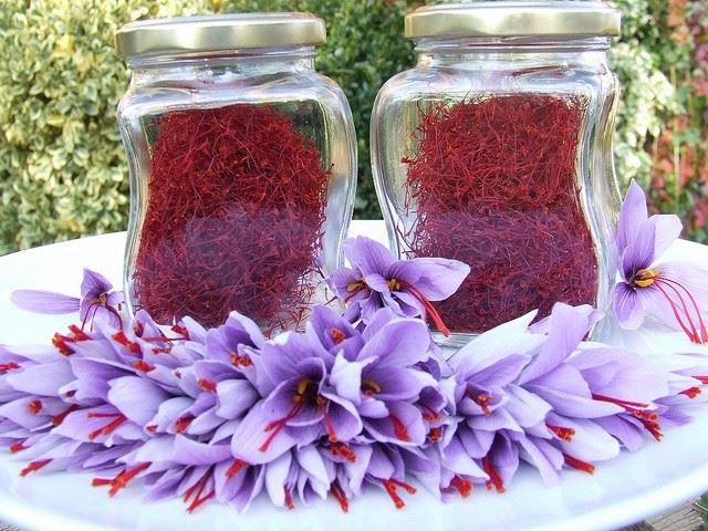BUY SAFFRON ONLINE 