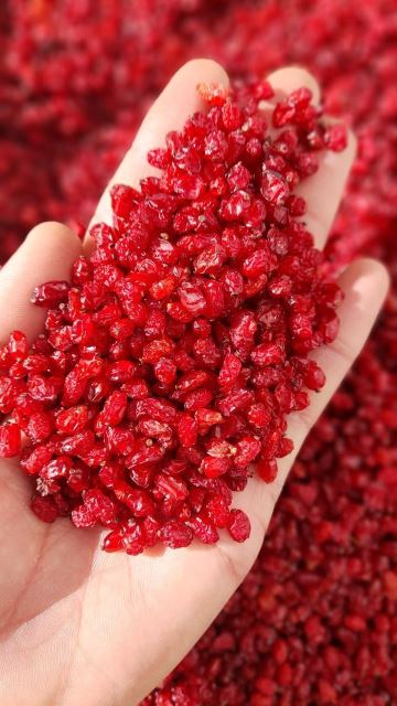 BUY SAFFRON ONLINE 