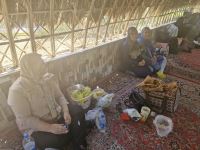 کانون هموفیلی ایران