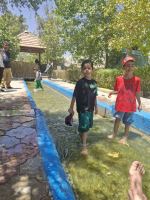 کانون هموفیلی ایران