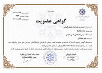 فاطمه هاشم پور