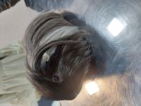 کلینیک دامپزشکی نگاه در مشهد