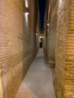 مژگان روانشید