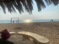 مژگان روانشید